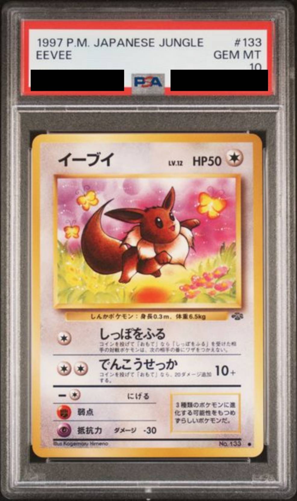 PSA10】イーブイLV.12 [旧裏] – MEETS - トレーディングカード通販