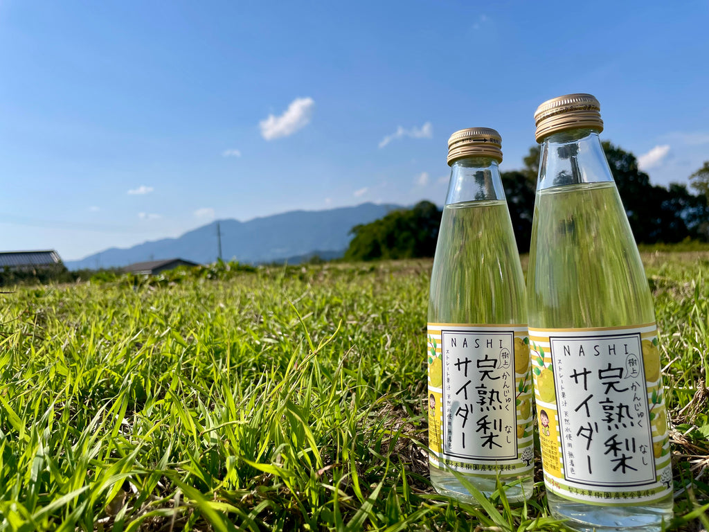 完熟梨サイダー｜【ならわし narawashi 】｜送料無料 奈良 通販 名物