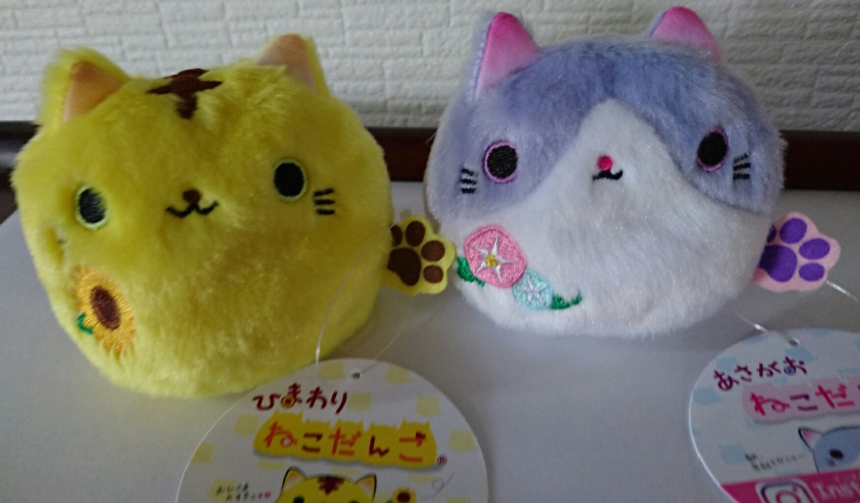 9日（日）営業します。ハロウィンねこだんごを入荷しました！ | 東京