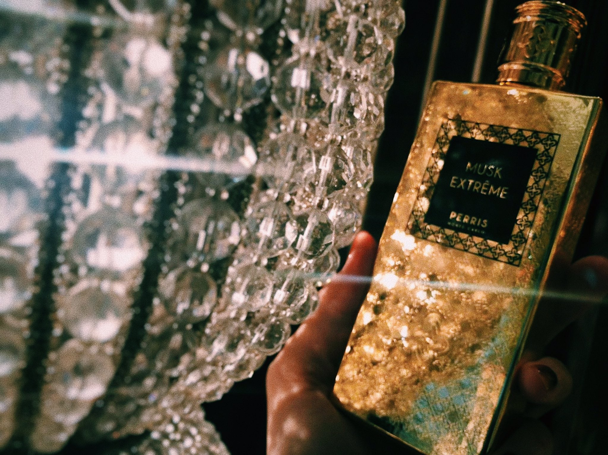 ノーズショップで見つけるクラシック – NOSE SHOP