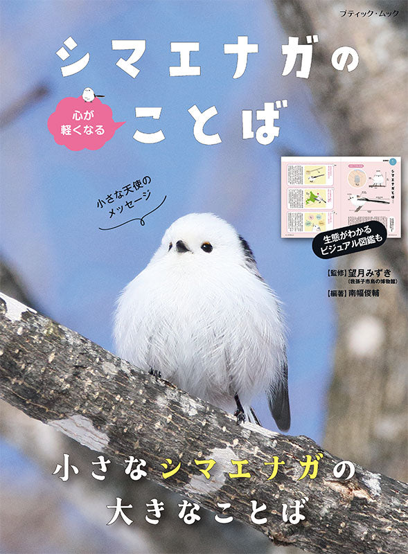 書籍】心が軽くなる シマエナガのことば(M1913) – ブティック社 公式