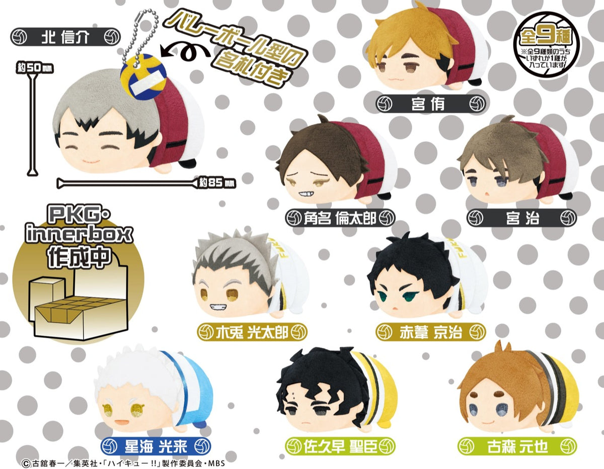 ハイキュー!!』もちもちマスコット vol.5 BOX – Anime Store JP
