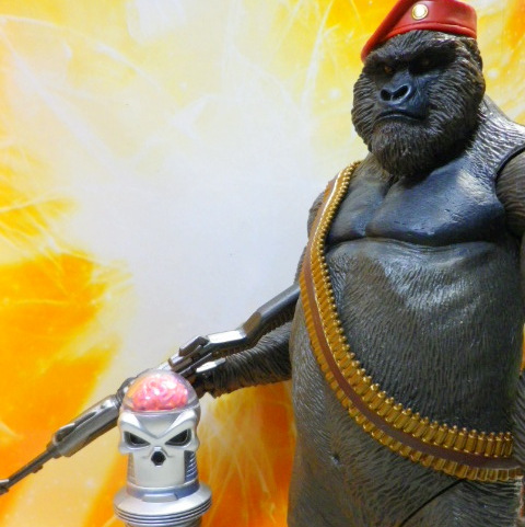 ムッシュ、マラマラ～ | モンド of the World