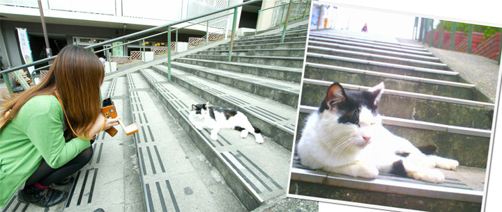 BONZART AMPEL – BONZART