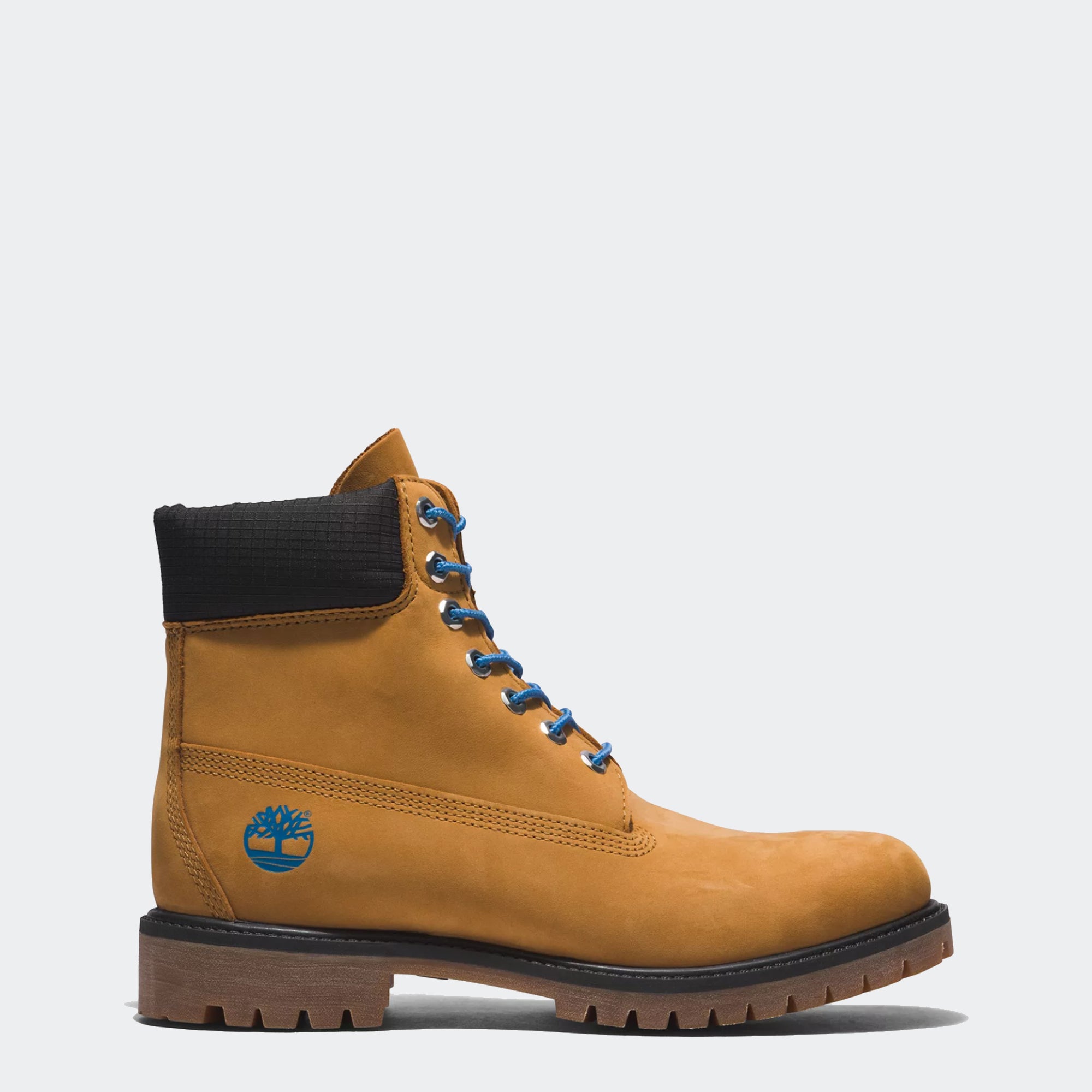 Timberland Premium 6-Inch Boots Wheat Blue | Chicago City Sports