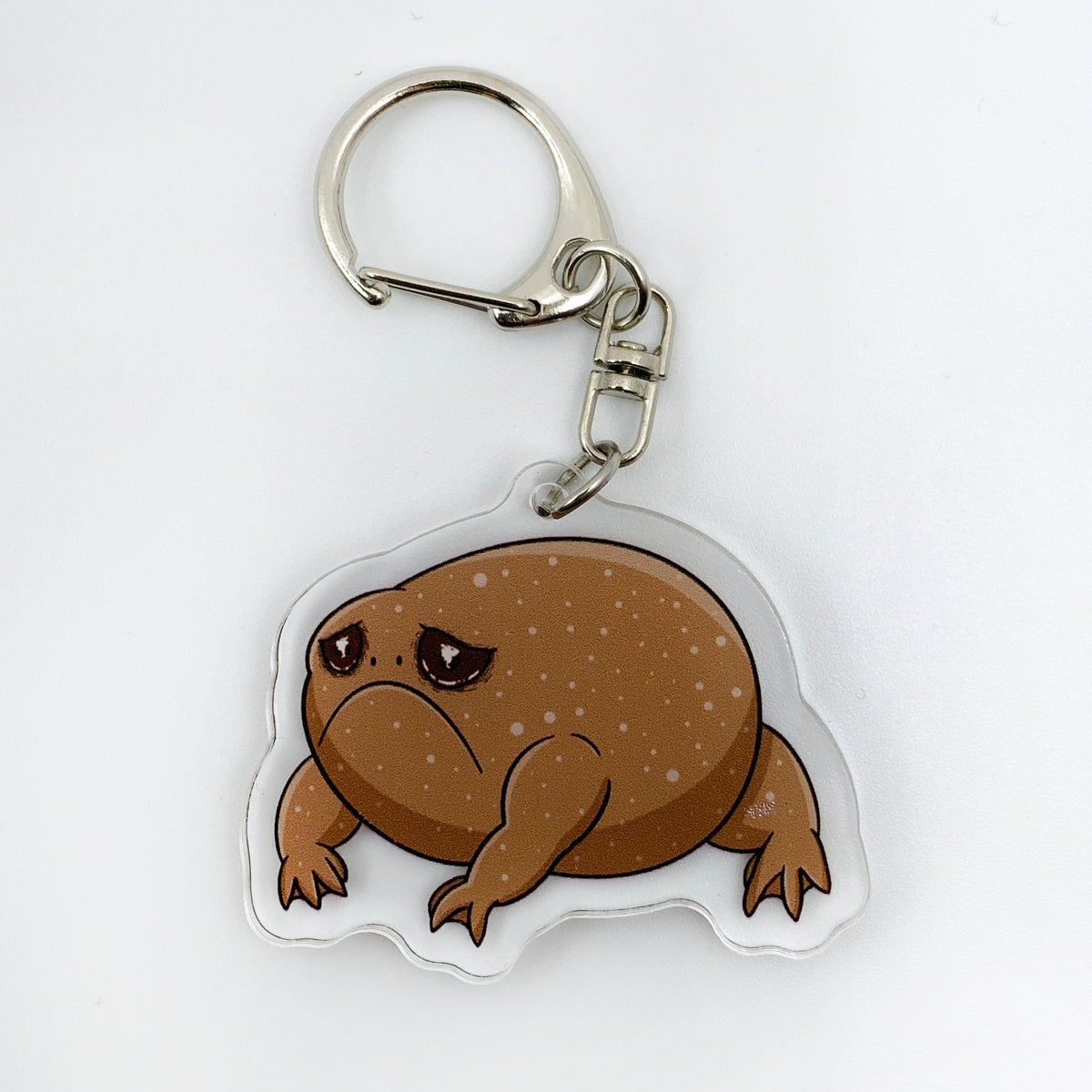 Big Sad African Rain Frog - 2