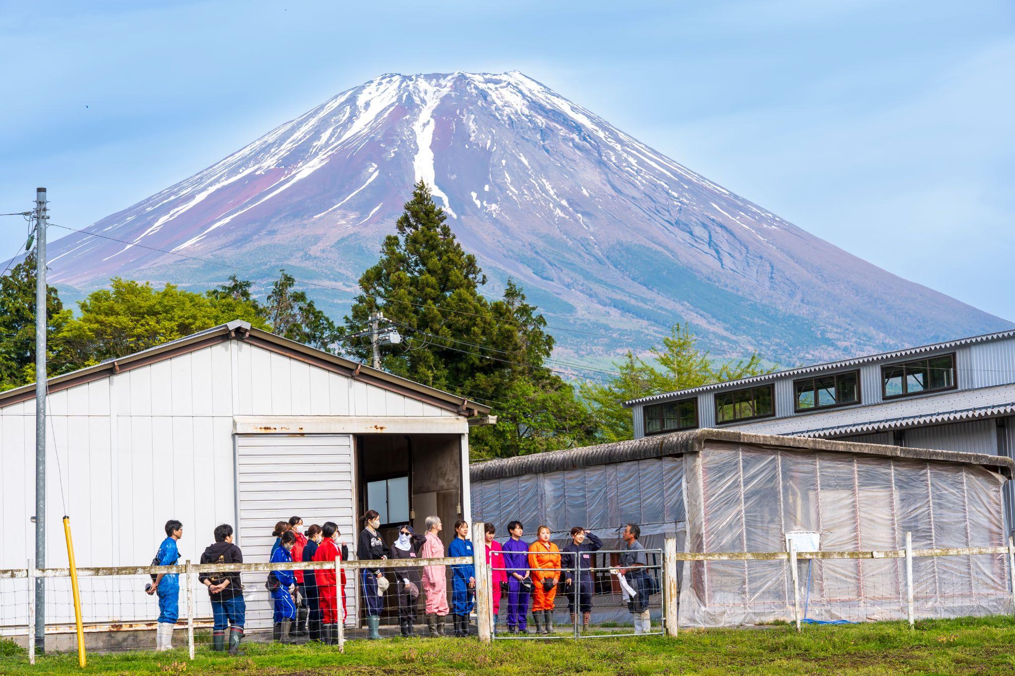 日本獣医生命科学大学は、畜産にまつわる知的好奇心を満たしてくれる