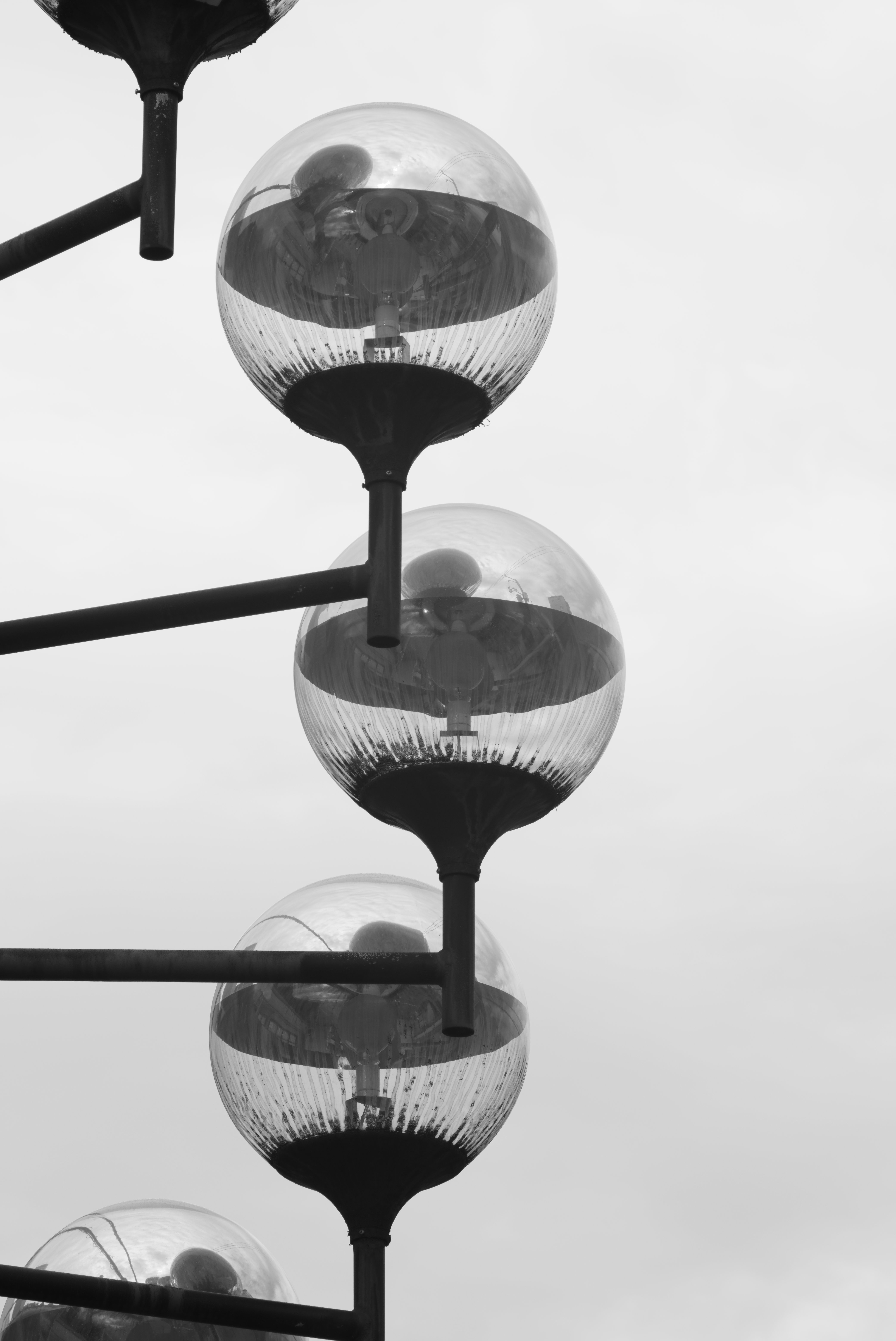 Super-Multi-Coated TAKUMAR 135mm F3.5 – 超画伯の写真漂流記