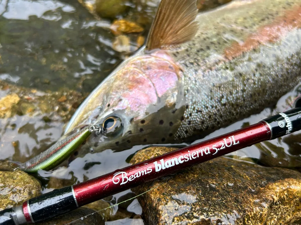 現役釣具店スタッフが解説】元祖渓流ベイトロッド「ブランシエラ