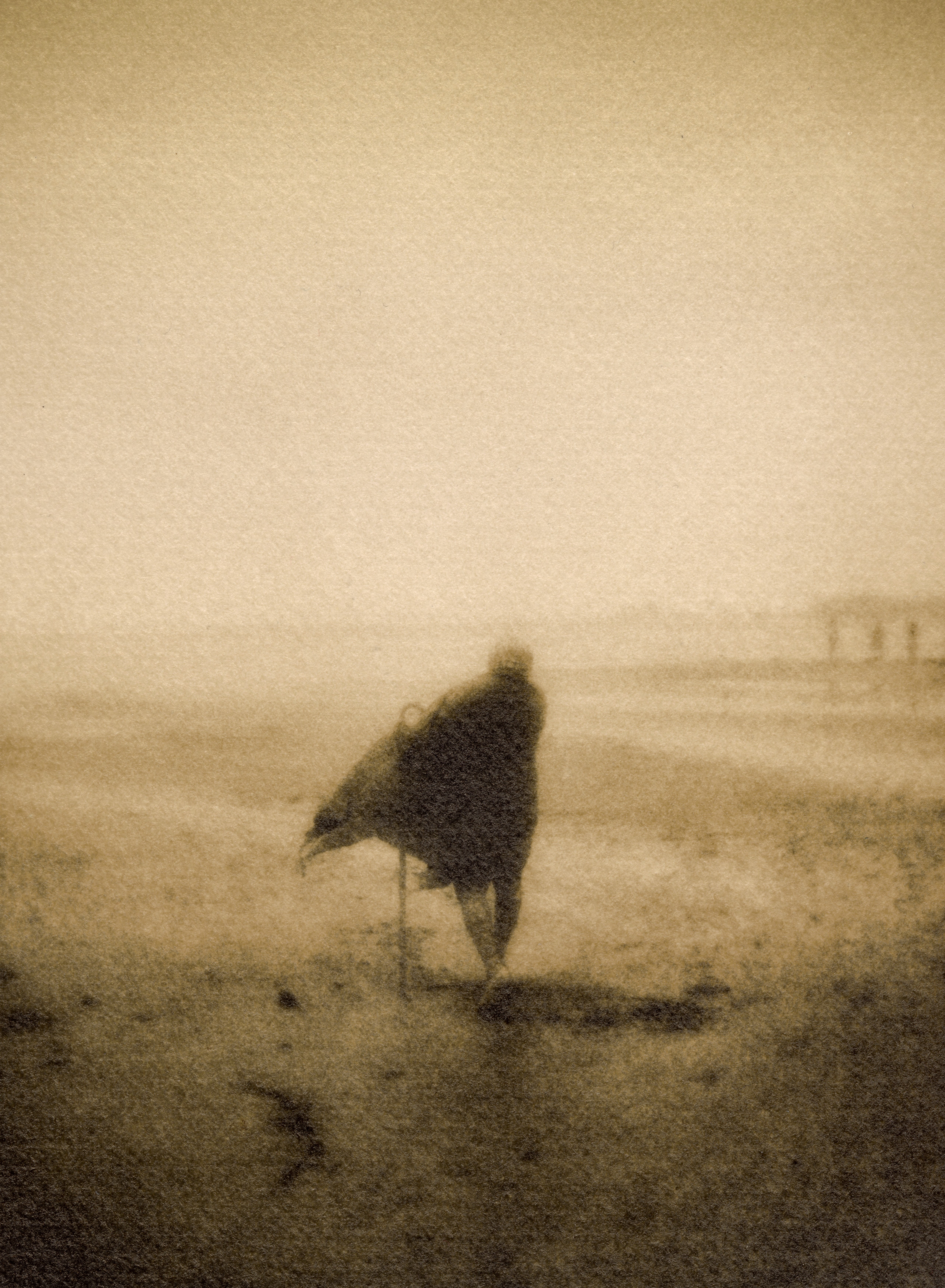 gallery bauhaus 横谷宣写真展｢黙想録｣