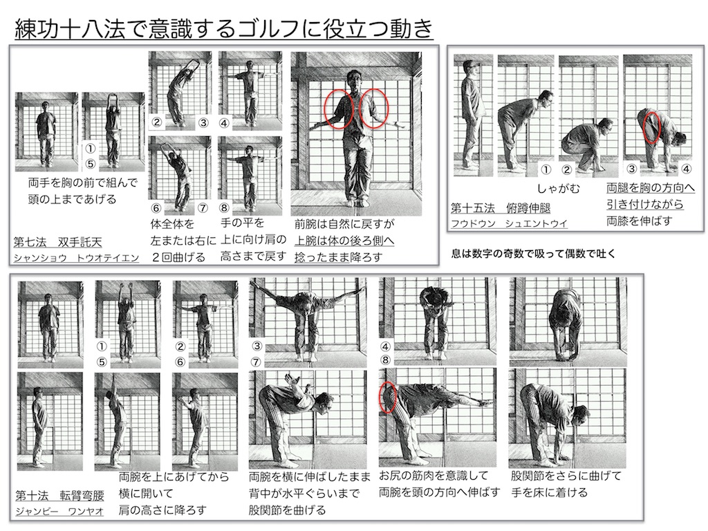 体」練功十八法に見るゴルフに役立つ動きゴルフライブ | ゴルフライブ