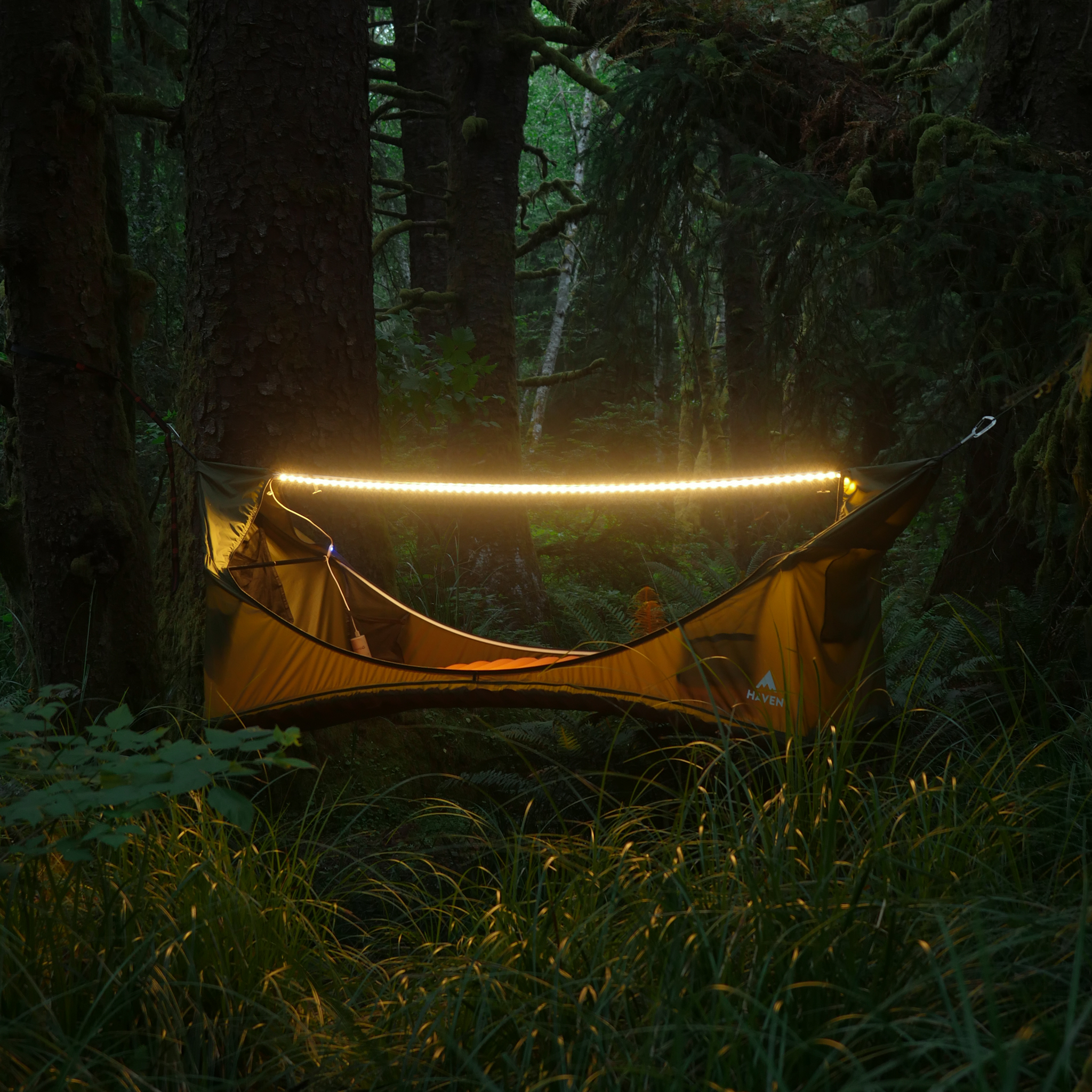 RidgeLight | LED Light Strip by Haven Tents