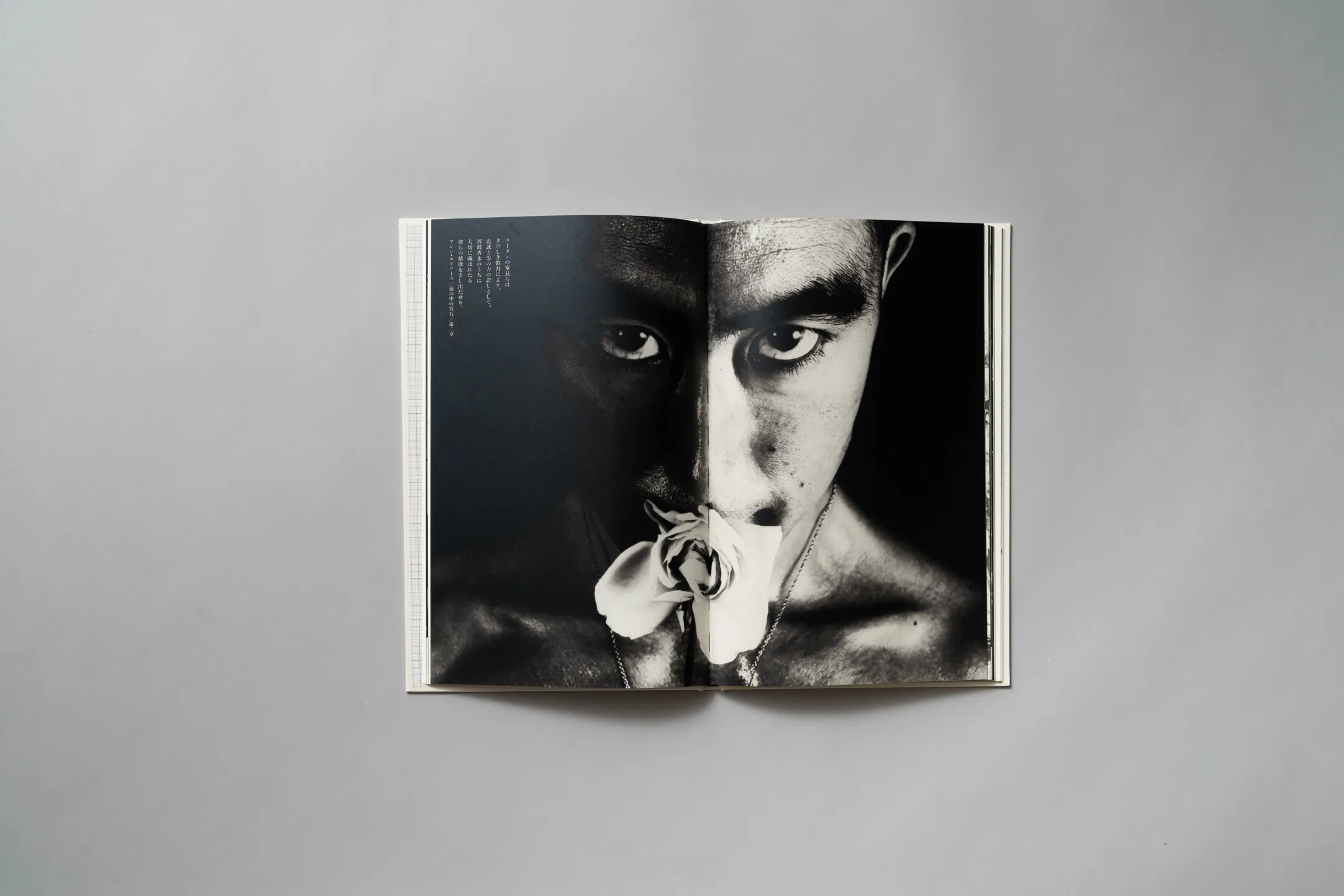 細江英公『薔薇刑（二十一世紀版）』 | 京都の美術印刷ならサンエムカラー