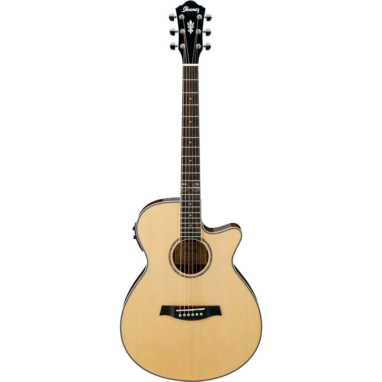 Ibanez AEG10II-NT Natural High Gloss | USA