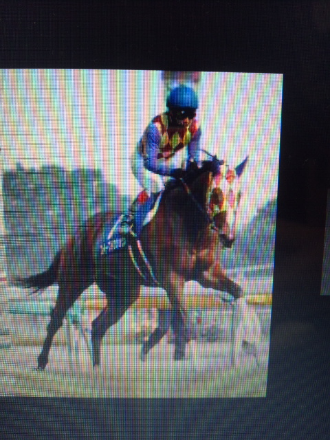 勝負服。 | べんけい日記