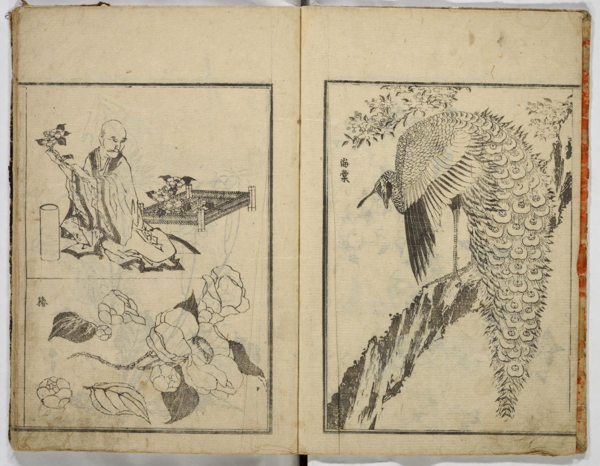 解体新書』は浮世絵革命を起こした？挿絵を担当した秋田の絵師・小田野