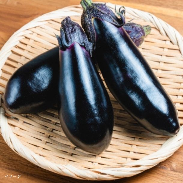 千葉県産「房総野菜 茄子」約1kgのお得通販｜Kuradashi(クラダシ)で