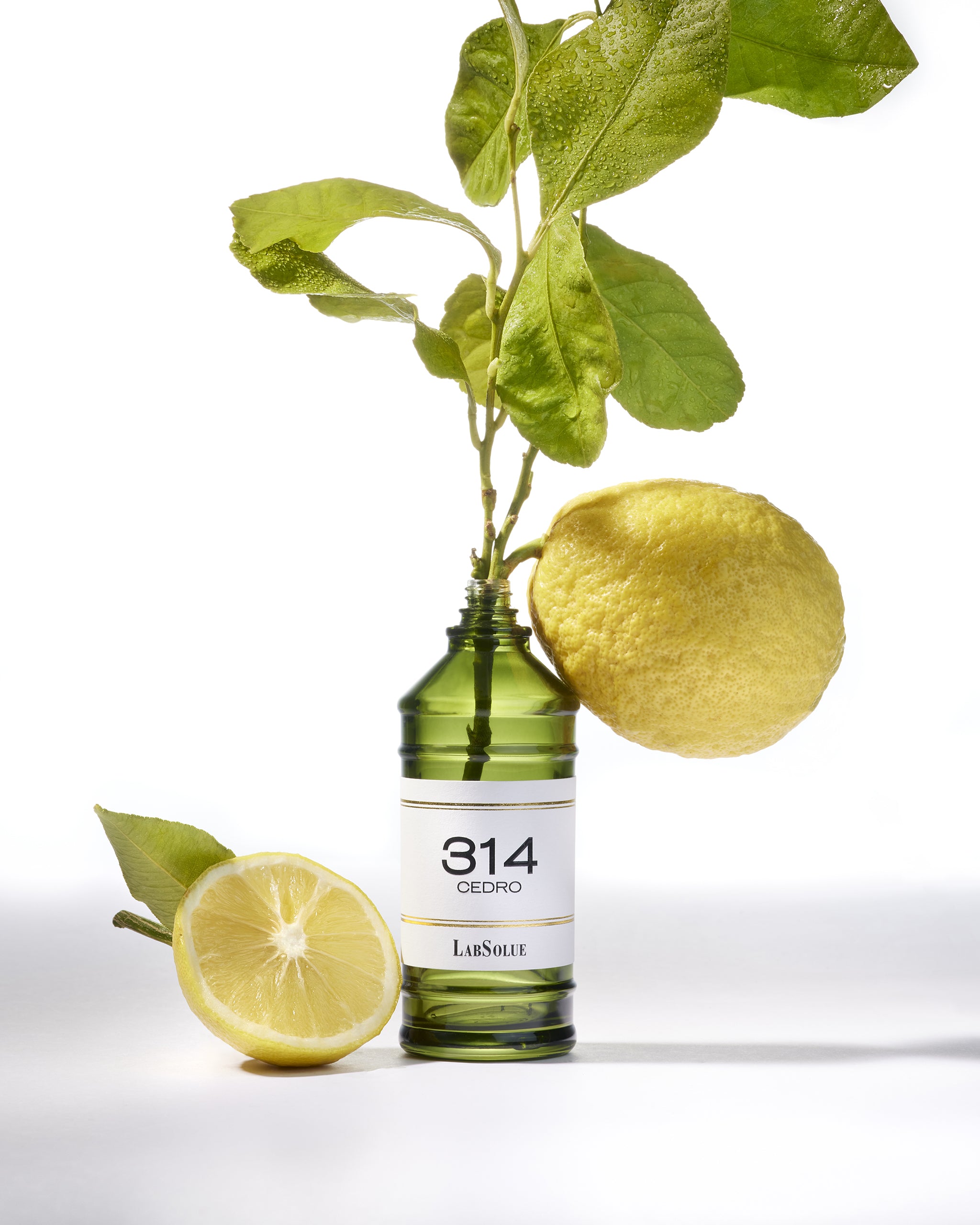 314 CEDRO - Eau de Parfum