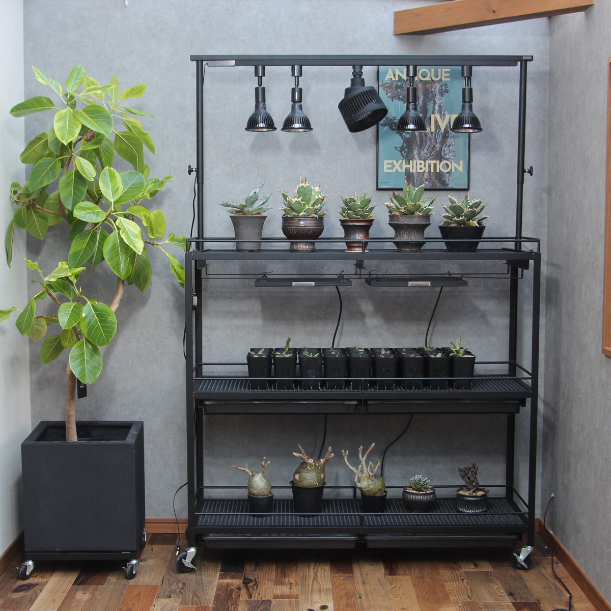 水受けトレー付きハイスペック植物棚