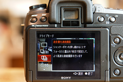 α550展示始めました。（フォトレビュー） - ONE'S- ソニープロショップ