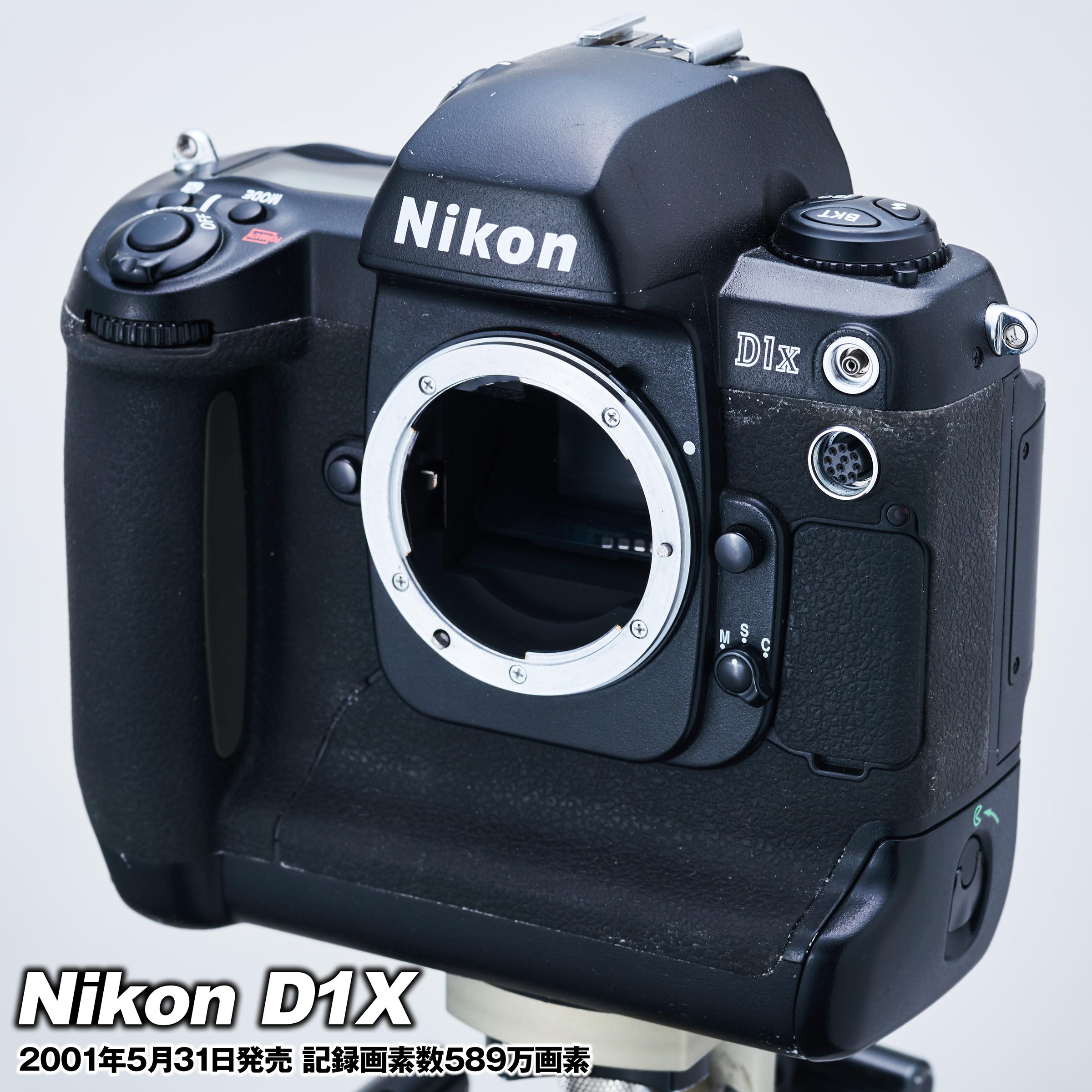 Nikon D1X（2001年発売）とD810（2014年発売）にライカ エルマー65mmを