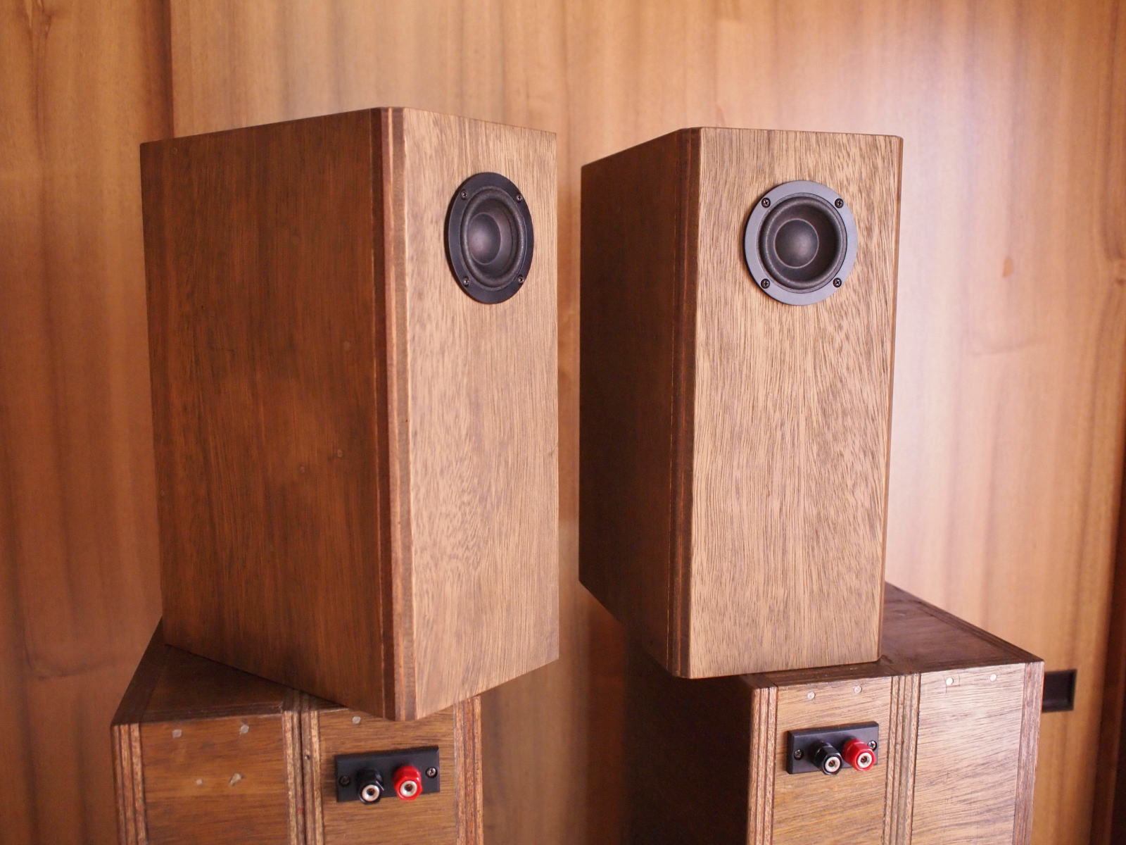 ステレオ8月号付録のスキャンスピーク5cmフルレンジ(5F/8422T03