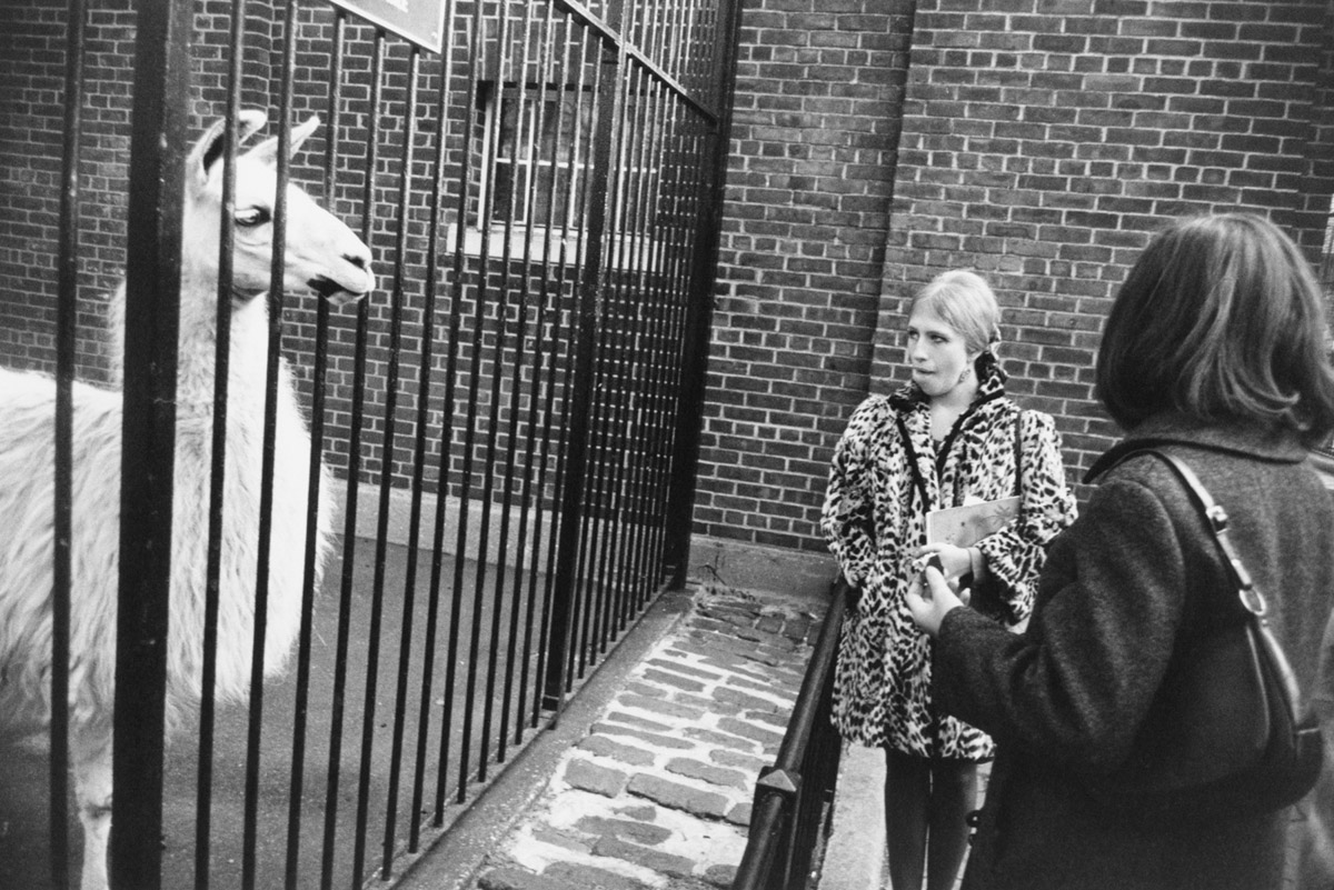 Pier 24 Garry Winogrand - 