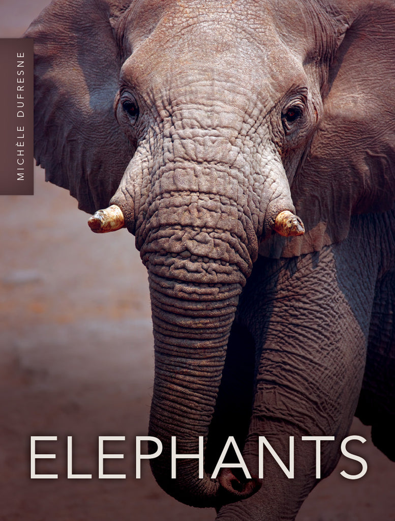Elephants – Pioneer Valley Books