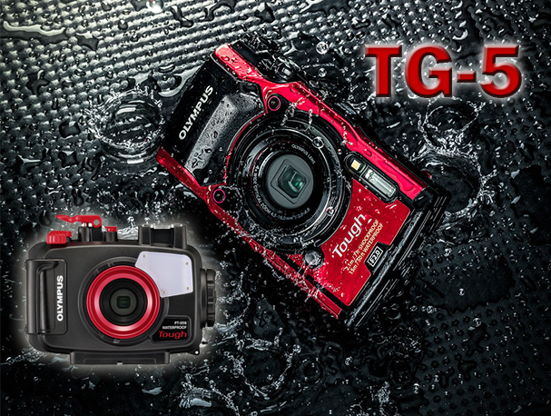 Olympus Tough TG-5 Camera Review - Underwater Photography Guide