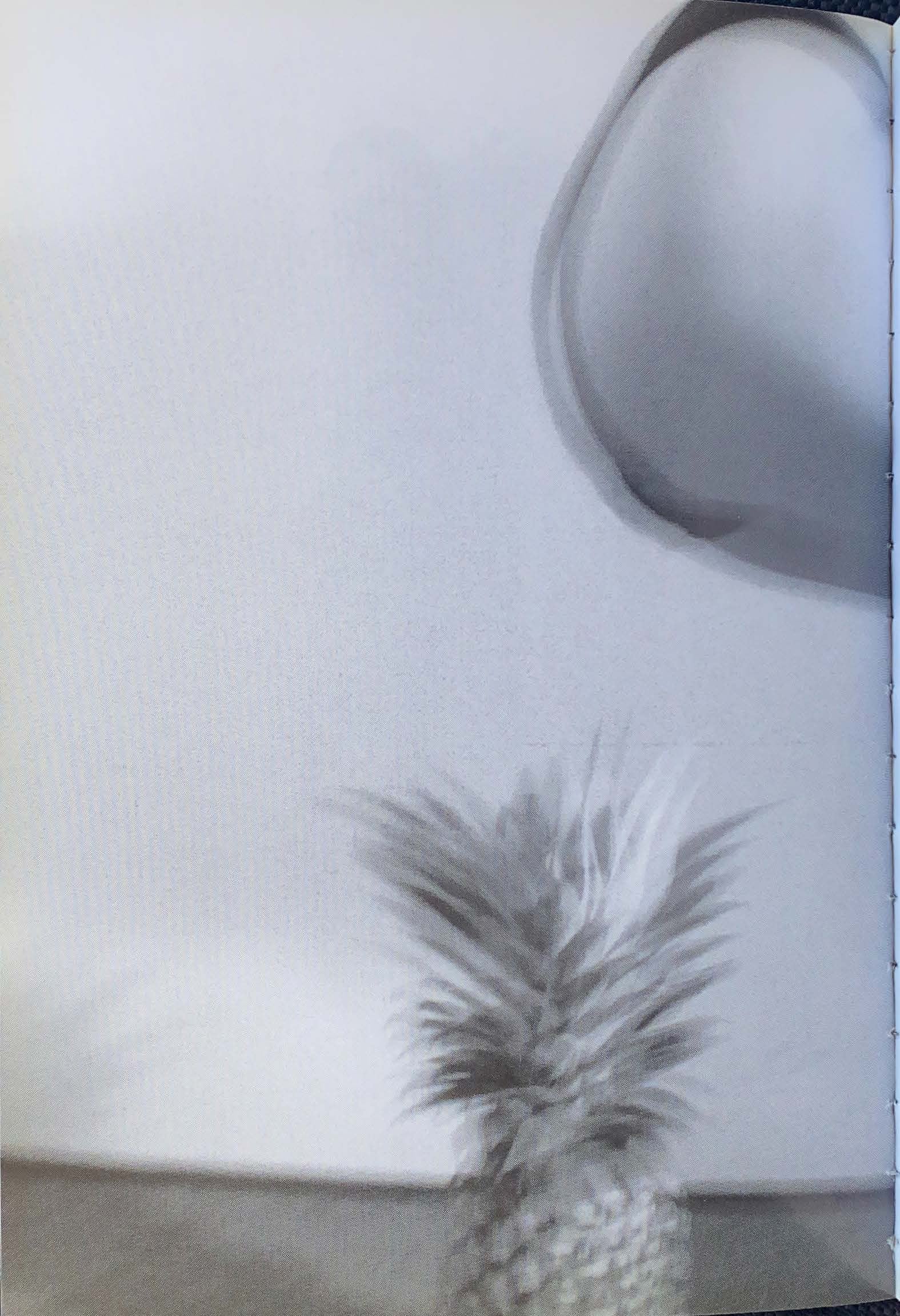 Rare Books Paris - Are Plants People? Mark Borthwick