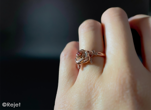 ディア♥ヴォーカリスト】CLIMAX RECORDS official website | Rejet