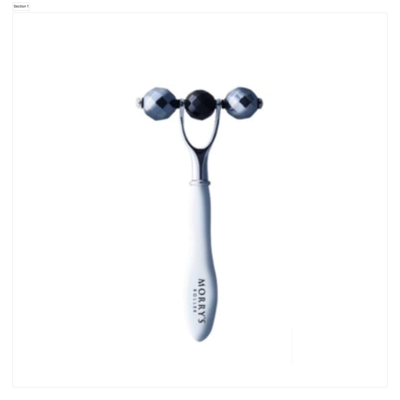 モリーズローラー – αI PLUS REVI SHOP