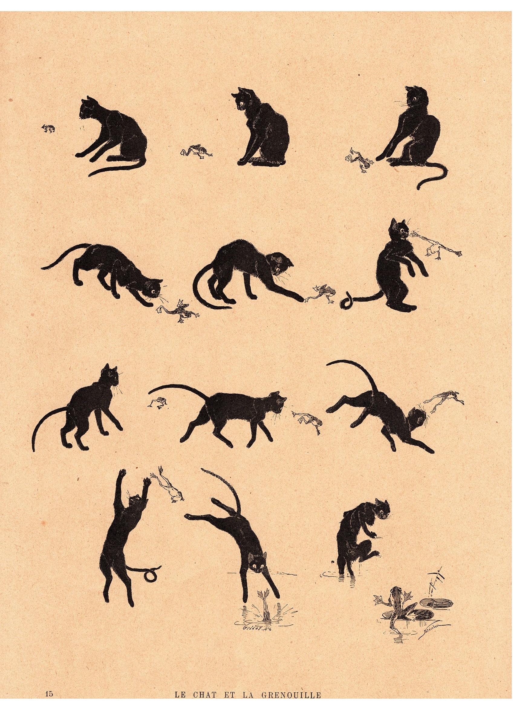 テオフィル・スタンラン ≪黒猫とカエル≫ 1898年 『猫たち』より