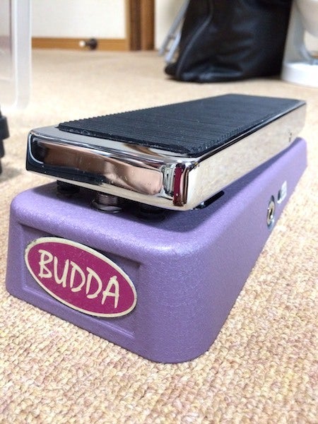 連日のBudda Wah！！笑 | SUGIギター教室 ｜ 60分/1回・不定期OK