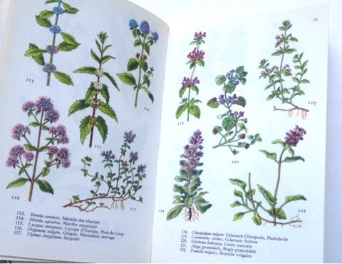 ○フランスの野に咲く花図鑑のヴィンテージ洋書♪ | 海外の