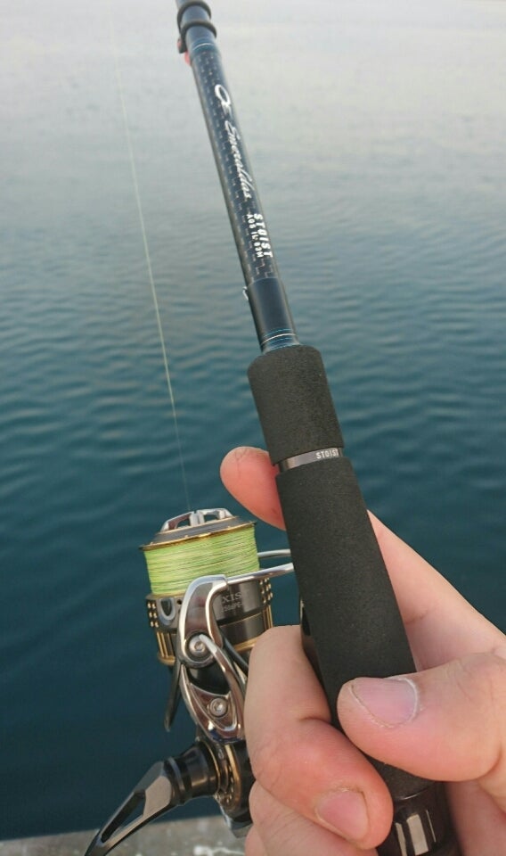 STOIST AGS IL 83M インプレ | ジョニーラモーンJrのブログ