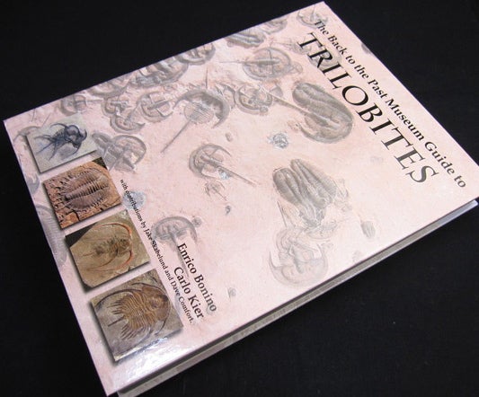 眺めてヨシ，読解にチャレンジしてヨシの「三葉虫本」（洋書） | 化石