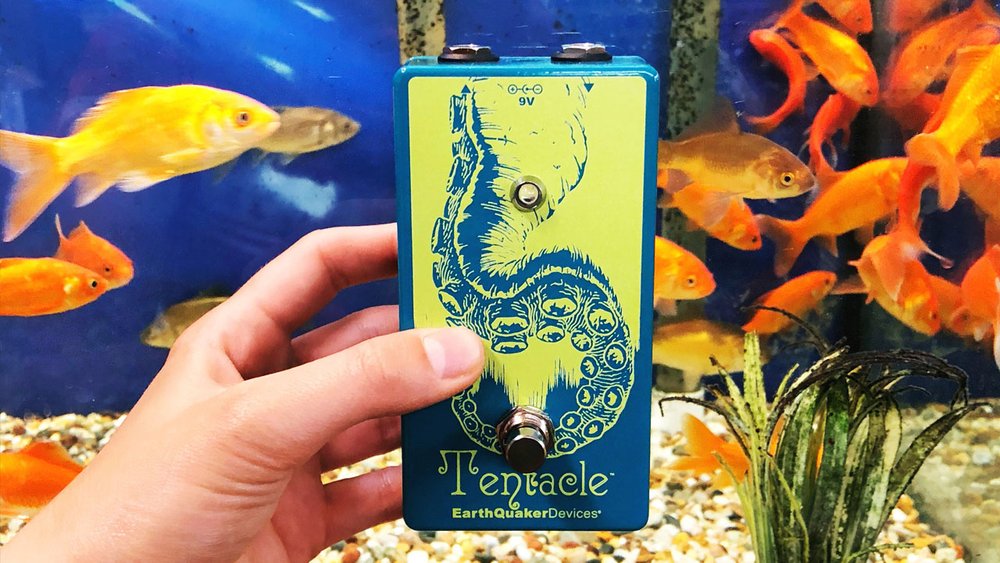 Tentacle Analog Octave Up — EarthQuaker Devices