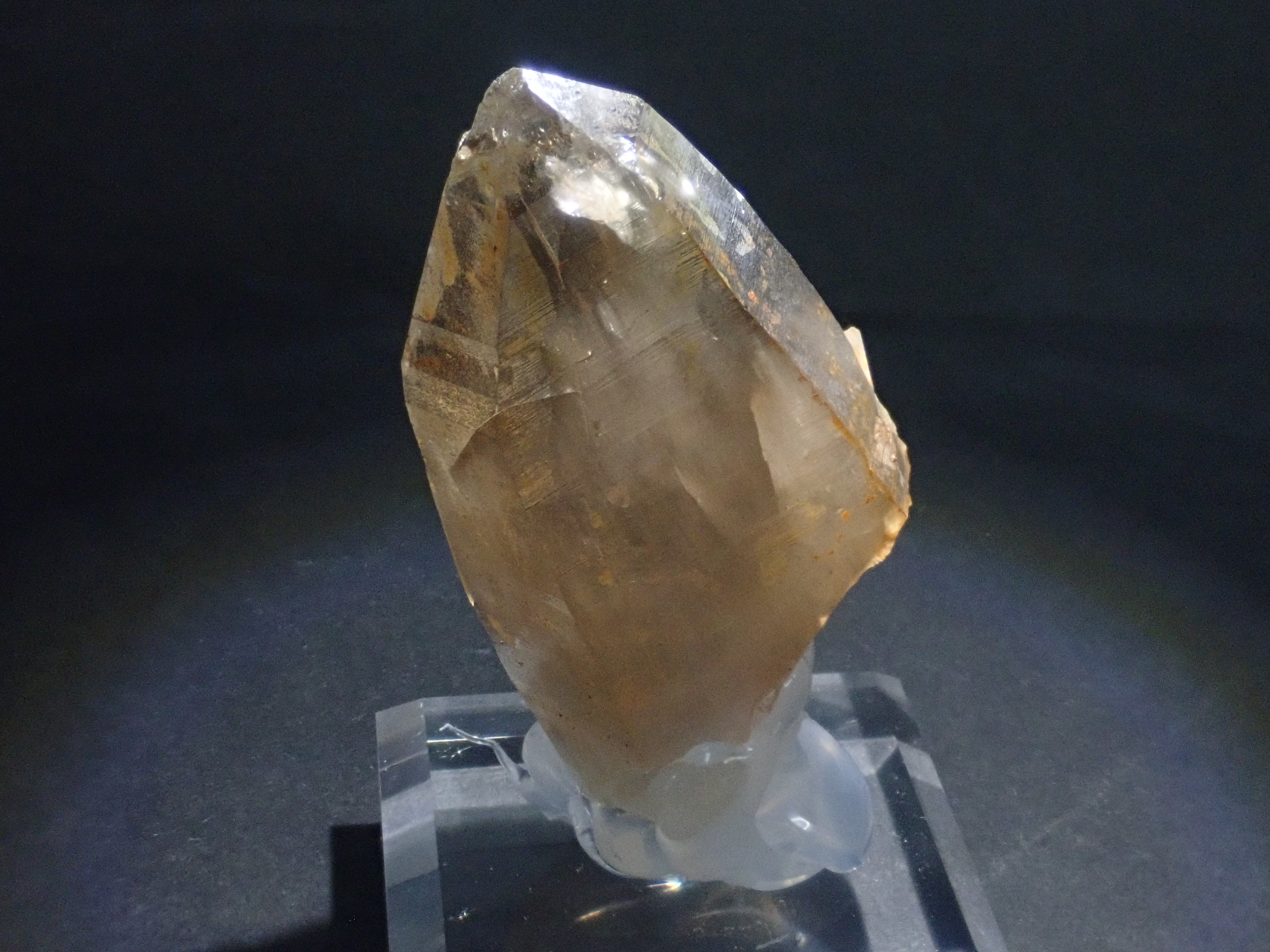 P1010154_a133269d-f23b-45cb-