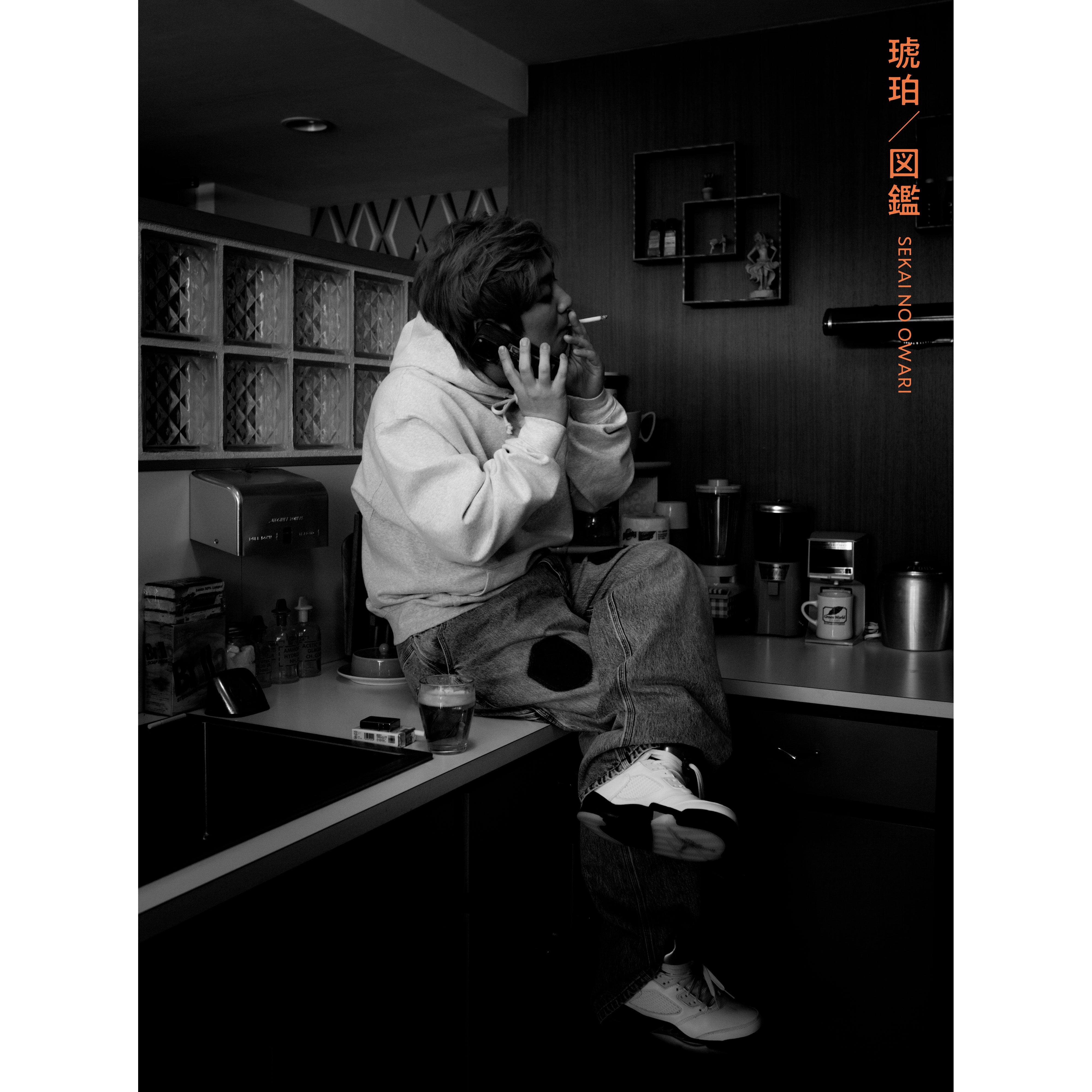 琥珀／図鑑 【初回限定盤A】【CD+DVD】 – SEKAI NO OWARI official store