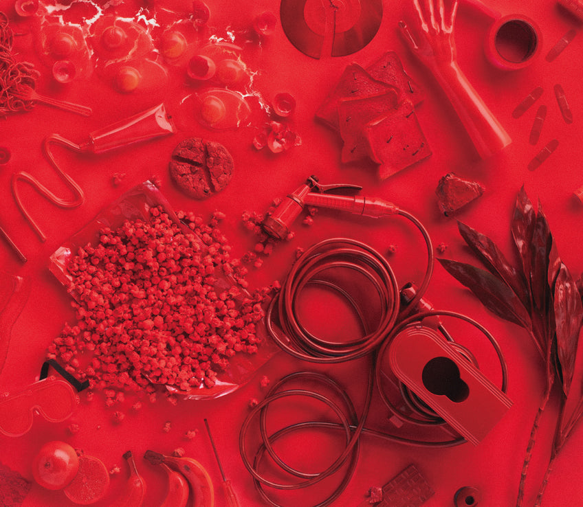 青春のエキサイトメント – ワーナーミュージック・ストア