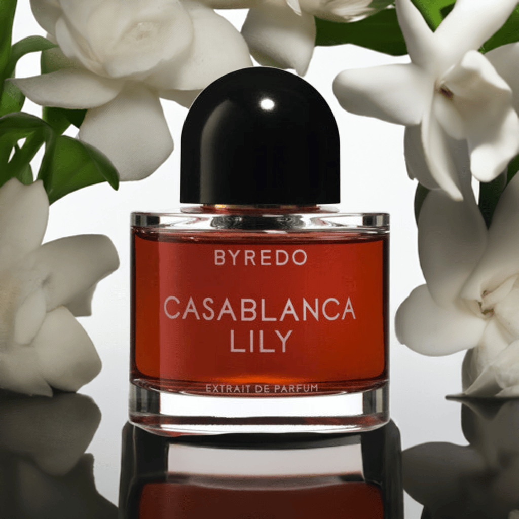Casablanca Lily | ScentsGift