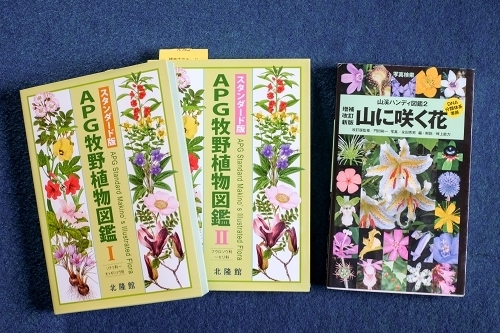 カフェで眺めて愉しい 牧野富太郎の植物図鑑（牧野図鑑） その特徴と