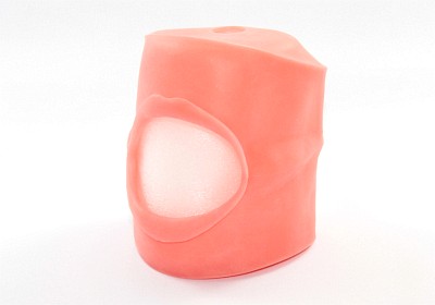 ニッシン - 頬粘膜ボックス ファントム用 | ショップリンケージ.com