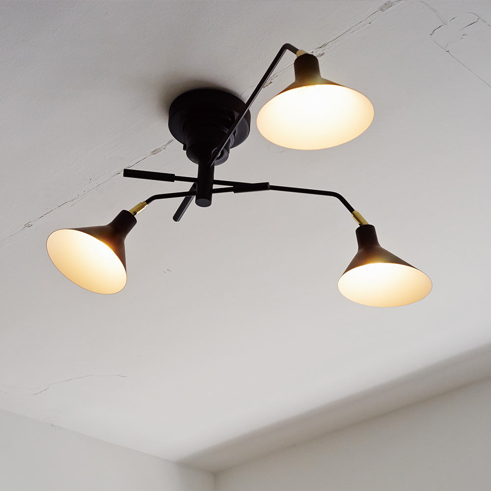 roanokeロアノーク 5灯ブラックシーリングライト スポットライト