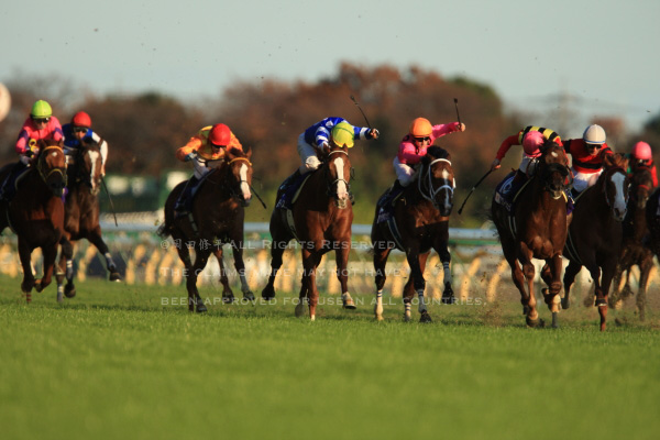 第28回（2008年）ジャパンカップ回顧 M.デムーロ騎乗・スクリーン