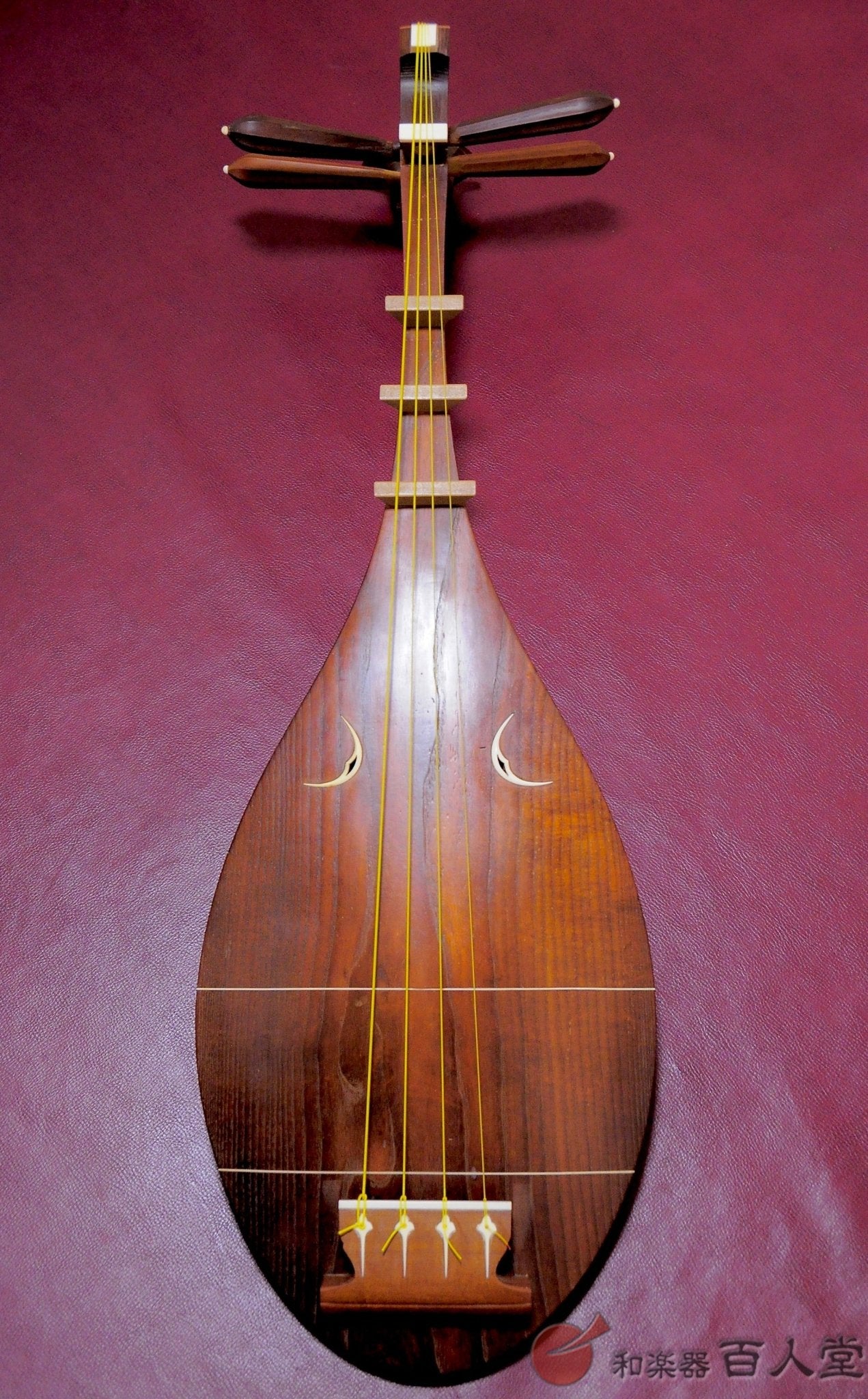 超弩級！ 100年前の『薩摩琵琶 弾法図解 錦心流』 大正15年(1926年) 林