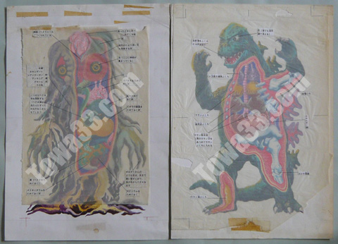 tow24603]原画/ゴジラ完全解剖図解,ヘドラ完全解剖図解 – 十和堂