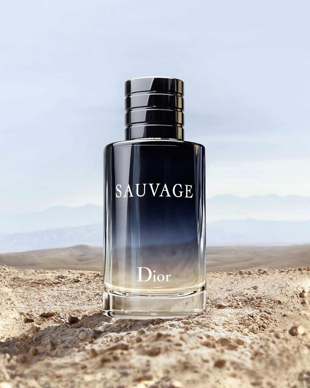 Dior Sauvage Eau de Toilette – Valley of Scents
