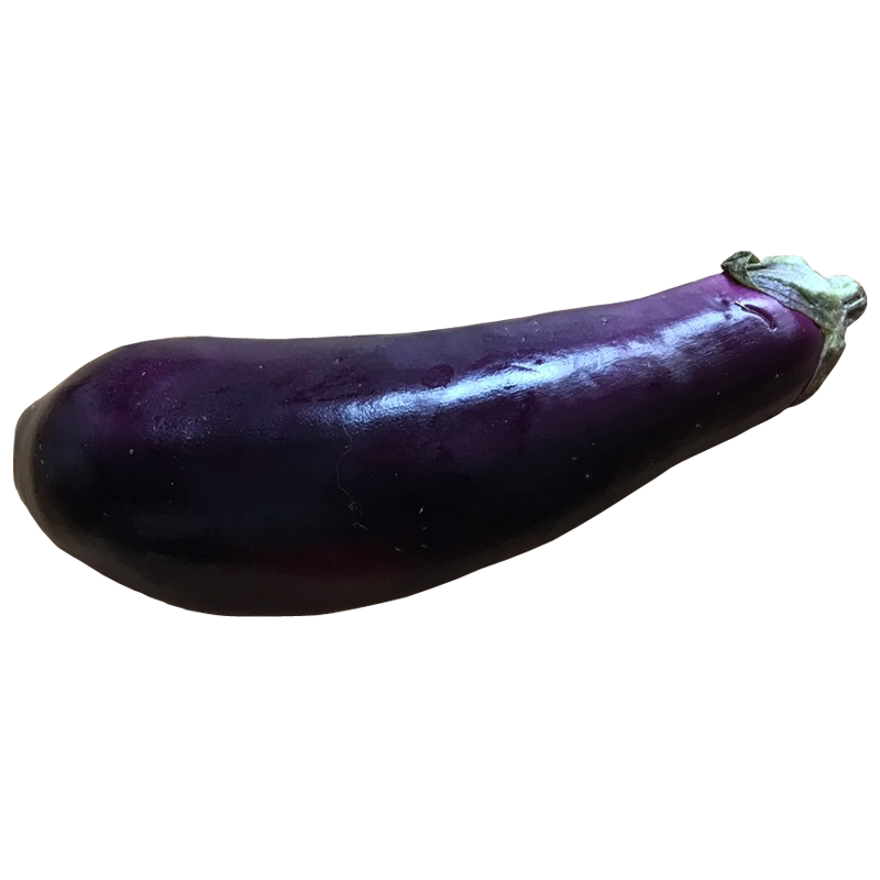 なすび(なす・ナス・茄子・eggplant)無料画像 – ベジタデジタ
